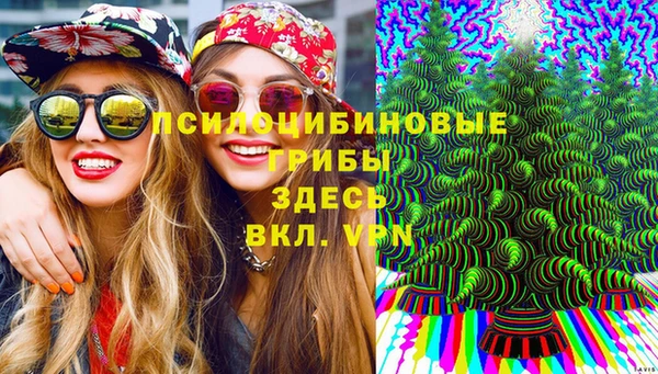 ALPHA-PVP Дмитриев
